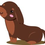 神澤さんの解説！犬を飼育する前の基礎知識を頭に入れよう